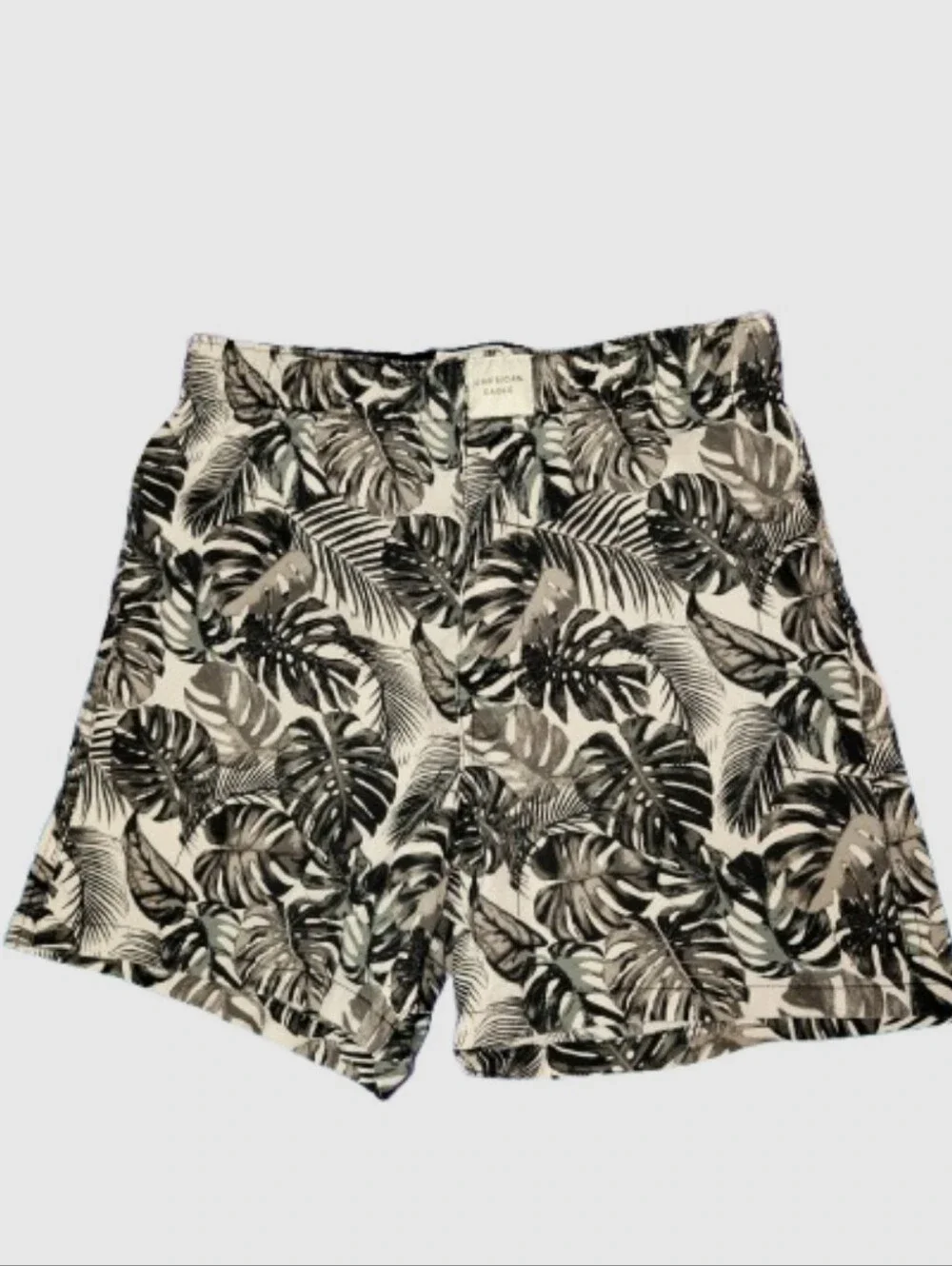 American Eagle Outfitters brand american